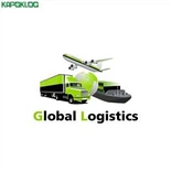 USA Express Shipping Shenzheni logistika